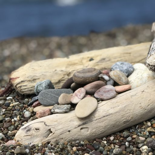 Pebbles and driftwood image